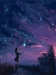 Il regalo delle stelle