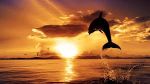 Il sole