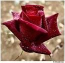 Rosso, passione che uccide