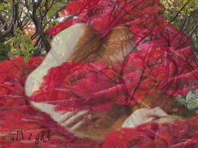 Fruscii nella notte
