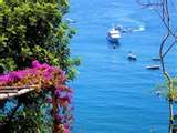Il fiore blu