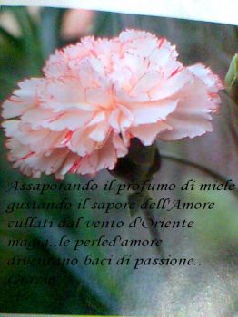 Il confine