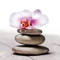 Fiore di gratitudine