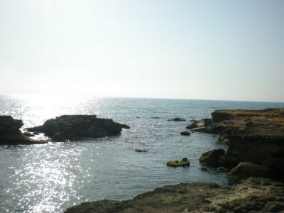 Un canto dell'Amore