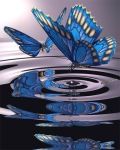 Baci silenti  