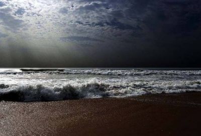 Marea nera