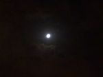 Il canto