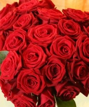 Ti porgo un fiore