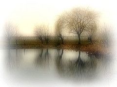 Nebbia silente