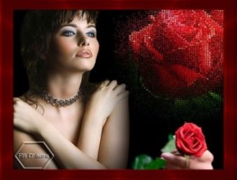 Soffia il cuore