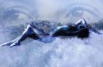 Ti Insegnerò a Volare e Tu... a Restare