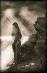 Sola dentro la sera