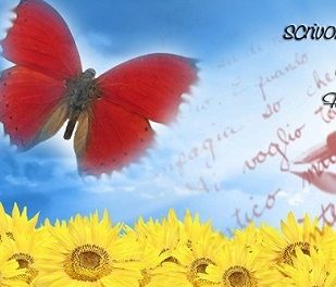 Una ventata di “ felicità”