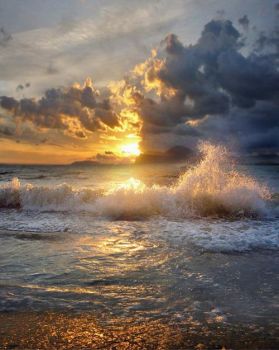 Luce
