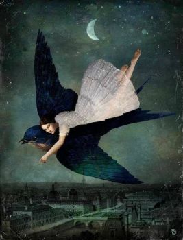 Nel buio della notte