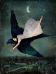 Nel buio della notte