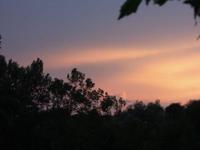 Colori!