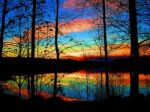 Pacem