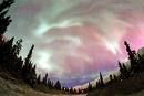 Verrà aurora nella notte