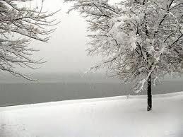 Fiocchi di neve
