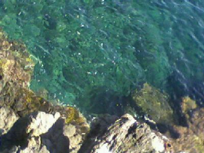 Erida / ferita