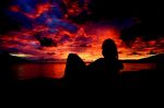 Il bacio della notte