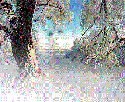 Il silenzio della neve
