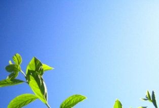 Le varie oscillazioni del sorriso