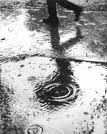 Acqua