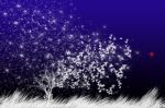 Polvere di stelle