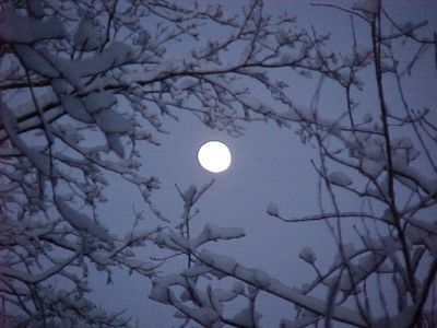 Cuori d'inverno