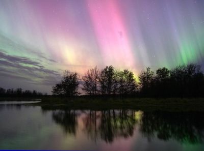 Dolce aurora