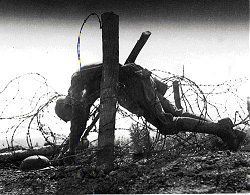 L'onore dei vinti
