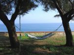 Dipinto d'estate