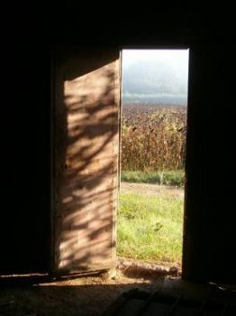 La porta sul mondo  