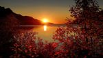 L�amore che saremo