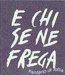 Pantano di follia