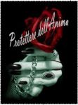 Protettore dell'Anima