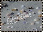 Pedine dentate
