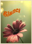 Slanci