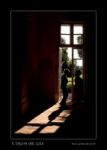 Pensiero affrettato