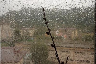 Autunnale