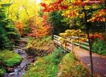 Autunno