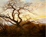 La vecchia quercia