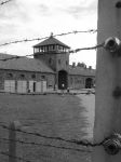 Sotto il cielo di Auschwitz