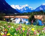 Risveglio di primavera