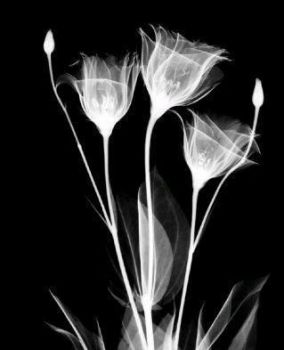 Intimit�