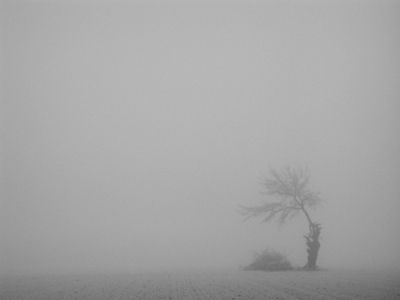 La nebbia offuscava i miei occhi