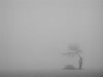 La nebbia offuscava i miei occhi
