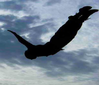 Volo basso